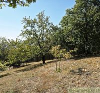 Der Garten bei der Hütte in Modrý Kameň mit Obstbäumen auf einem hügeligen Gelände.