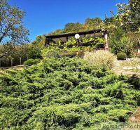 Der Garten bei der Hütte in Modrý Kameň, umgeben von Grün und Obstbäumen.