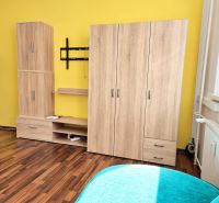 Einzimmerwohnung mit Holzboden, gelbe Wand, Schränke und TV-Halterung an der Wand.