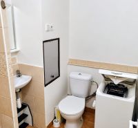 Badezimmer in einem Studio-Apartment mit Waschmaschine, Toilette und Waschbecken, Boden mit Holzdekor.