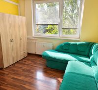 Einzimmerwohnung mit Holzboden, grünem Sofa und Schrank.