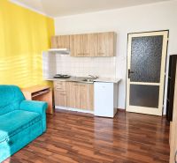 Einzimmerwohnung mit gelber Wand, Küchenzeile und Sofa, Boden mit Holzdekor.