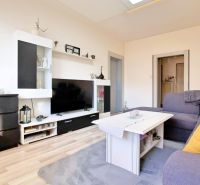 Wohnzimmer in einer 2-Zimmer-Wohnung mit Sofa, Dekoren und Holzboden.