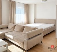 Wohnraum mit Sofa, Bett und Holzboden in einer Einzimmerwohnung.