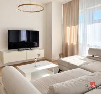 Helles Wohnzimmer mit Sofa, Fernseher und Holzboden in einer Einzimmerwohnung.
