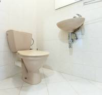 toaleta1.jpg