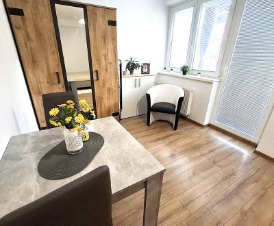 Mieten 1-Zimmer-Wohnung, 1-Zimmer-Wohnung, Hanácka, Bratislava - Ružin