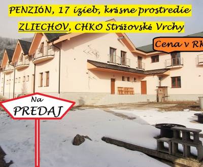 Kaufen Hotels und Pensionen, Ilava, Slowakei