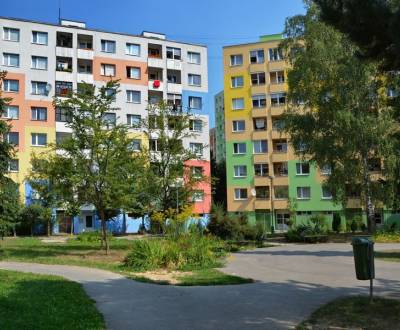 Suche 2-Zimmer-Wohnung, 2-Zimmer-Wohnung, Gaštanová, Žilina, Slowakei