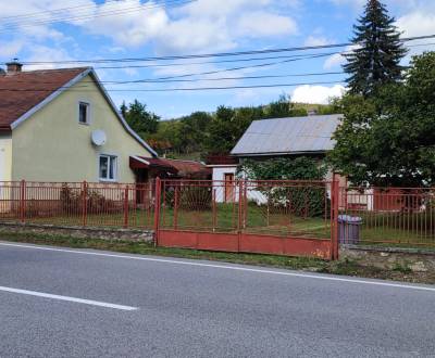 Einfamilienhaus, zu verkaufen, Medzilaborce, Slowakei