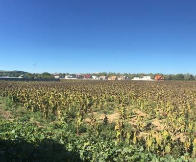 Baugrund, zu verkaufen, Piešťany, Slowakei