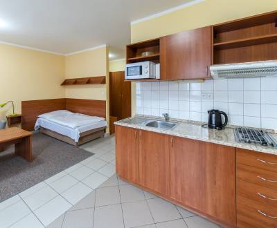 Mieten 1-Zimmer-Wohnung, 1-Zimmer-Wohnung, Mýtna, Bratislava - Staré M