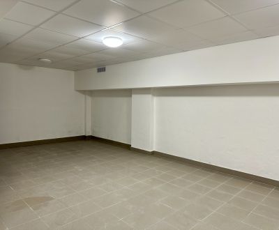 Kaufen Lager und Hallen, Lager und Hallen, Rudlovská cesta, Banská Bys