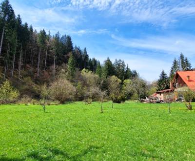 Kaufen Baugrundstück Erholung, Bystrá, Brezno, Slowakei