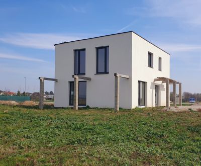 Kaufen Einfamilienhaus, Einfamilienhaus, Pamastrasse, Neusiedl am See,