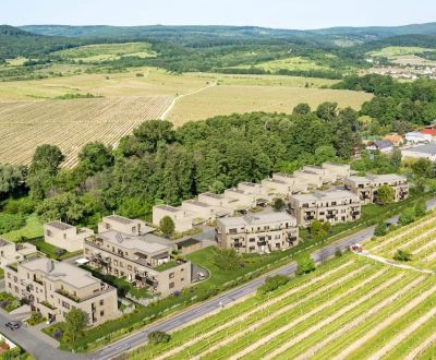 Neubau Kaufen Neubauprojekte Wohnungen, Neubauprojekte Wohnungen, Pezinok, Sl, Pezinok