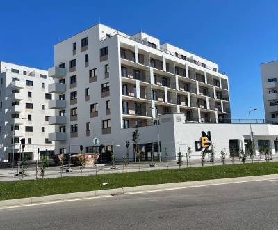 Veľký  1i byt NOVOSTAVBA RNDZ, Sklabinská ul., BA III.,44,6 m2
