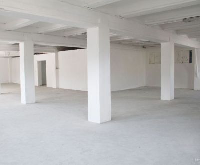 Mieten Lager und Hallen, Lager und Hallen, Skladová, Trnava, Slowakei