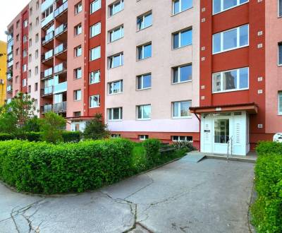 Mieten 3-Zimmer-Wohnung, 3-Zimmer-Wohnung, Mirka Nešpora, Prešov, Slow
