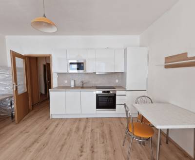 Renoviertes 1-Zimmer-Apartment in Petržalka, Bratislava