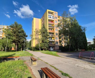 Mieten 3-Zimmer-Wohnung, 3-Zimmer-Wohnung, Valová, Piešťany, Slowakei
