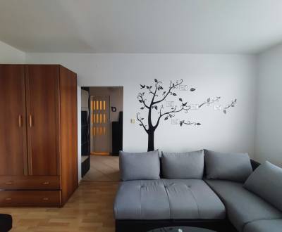 Ideálny 1 izbový byt v Petržalke s výhľadom na jazero Draždiak