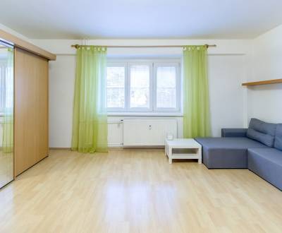 Mieten 1-Zimmer-Wohnung, 1-Zimmer-Wohnung, Šancová, Bratislava - Staré