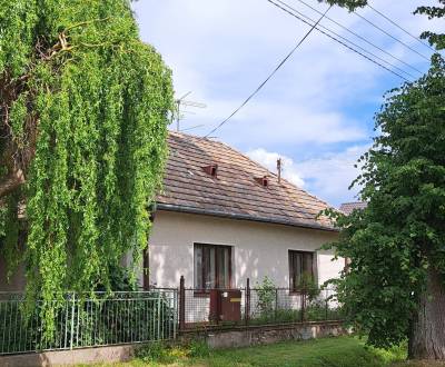 Kaufen Einfamilienhaus, Einfamilienhaus, Levice, Slowakei