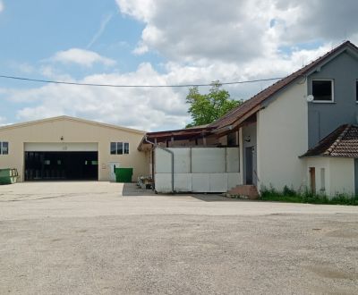 Mieten Lager und Hallen, Lager und Hallen, Senica, Slowakei