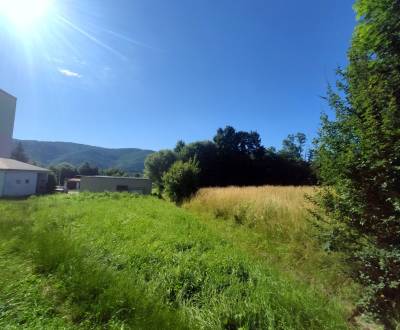 Industriegrund, Fraňa Kráľa, zu verkaufen, Žarnovica, Slowakei