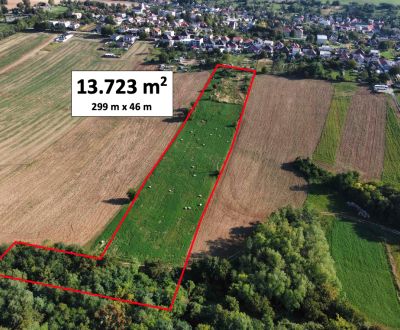 Kaufen Baugrundstück Erholung, Baugrundstück Erholung, Hlohovec, Slowa