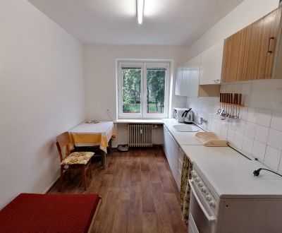Mieten 2-Zimmer-Wohnung, 2-Zimmer-Wohnung, Štúrovo námestie, Martin, S