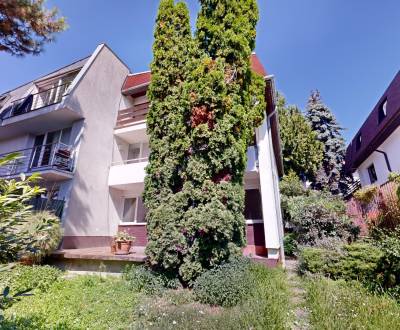 Mieten Einfamilienhaus, Einfamilienhaus, Fialkové údolie, Bratislava -