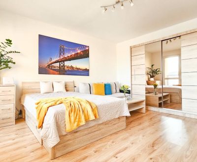 Mieten 1-Zimmer-Wohnung, 1-Zimmer-Wohnung, Viedenská, Košice - Sídlisk