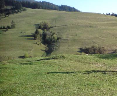 Kaufen landwirtsch. Grundstücke, landwirtsch. Grundstücke, Dolný Kubín