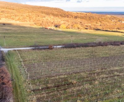 Kaufen landwirtsch. Grundstücke, landwirtsch. Grundstücke, Novosadská,