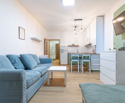 Mieten 1-Zimmer-Wohnung, 1-Zimmer-Wohnung, Popradská, Košice - Západ, 