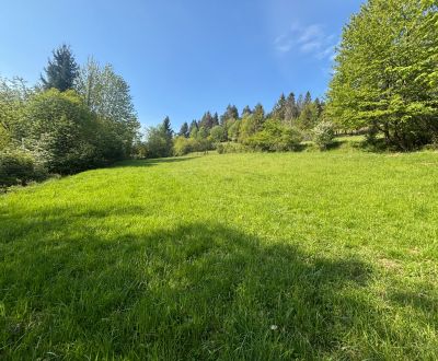 Kaufen Baugrundstück Erholung, Baugrundstück Erholung, Rieka, Čadca, S