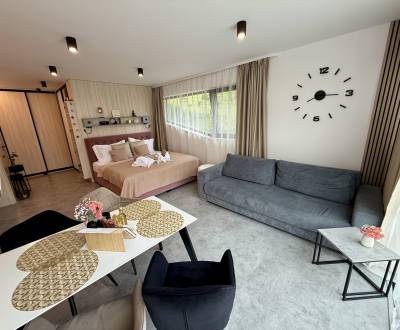 Komplett eingerichtetes Apartment mit Terrasse in Hrabovo
