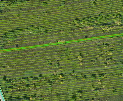 Kaufen landwirtsch. Grundstücke, landwirtsch. Grundstücke, Kostoliansk