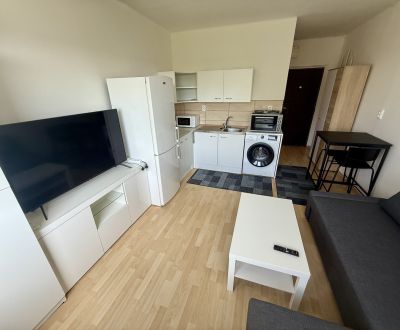 Gemütliche Garçonnière im Herzen von Piešťany zu vermieten