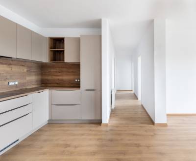 Mieten 3-Zimmer-Wohnung, 3-Zimmer-Wohnung, Napervillská, Nitra, Slowak