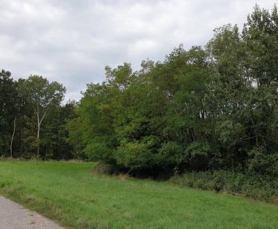 Kaufen landwirtsch. Grundstücke, landwirtsch. Grundstücke, Trnava, Slo