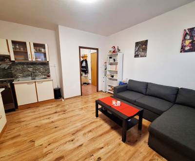 Mieten 1-Zimmer-Wohnung, 1-Zimmer-Wohnung, Nitra, Slowakei