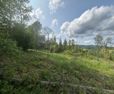 Kaufen Baugrundstück Erholung, Baugrundstück Erholung, Raková, Čadca, 