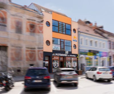 Kaufen Gebäude, Gebäude, Palackého, Trenčín, Slowakei