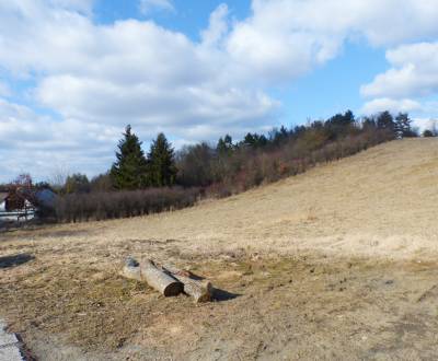 Mieten landwirtsch. Grundstücke, landwirtsch. Grundstücke, Prešov, Slo