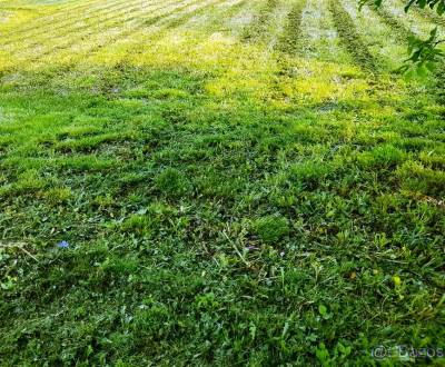 Kaufen Baugrund, Baugrund, Michalovce, Slowakei