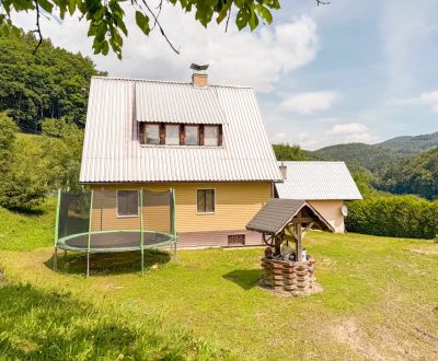 Kaufen Einfamilienhaus, Einfamilienhaus, Sidonie, Rybníček, Tschechisc