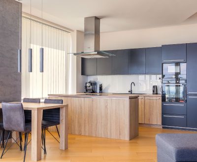 Moderne 3-Zimmer-Wohnung mit Donaublick in PANORAMA CITY